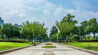Cidades inteligentes que integram serviços e tecnologia para um futuro sustentável