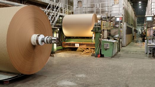 Zwei große Papierrollen aus Silphiepapier sind zu sehen, die die Firma Meldorf produziert hat