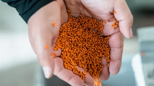 Hände halten recyceltes Kunststoffgranulat von PreZero Polymers
