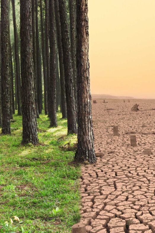 As alterações climáticas e o seu impacto na segurança e saúde dos trabalhadores