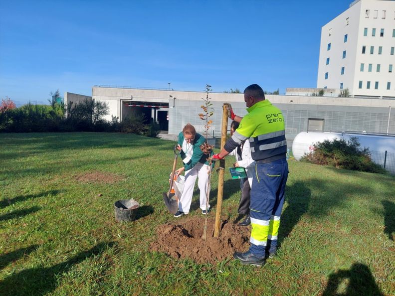 Plantação de árvores doadas pela PreZero ao Hospital de Braga