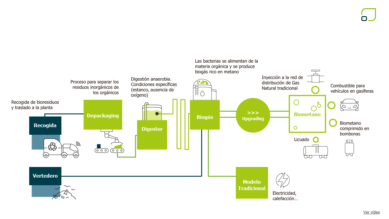 Infografia biogas