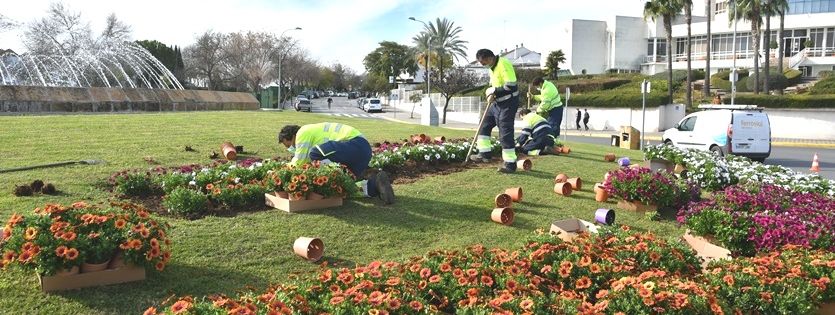 mejora-de-la-jardineria-rotonda-gerente-carlos-moreno-5-web-0-1