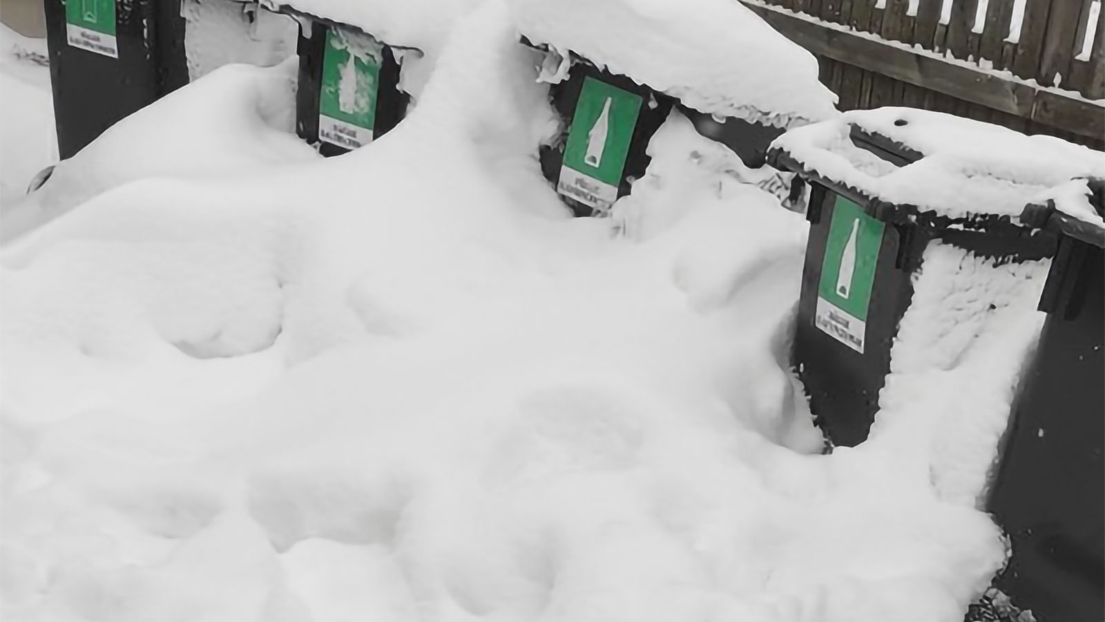 Snötyngda avfallskärl på rad med snövall framför
