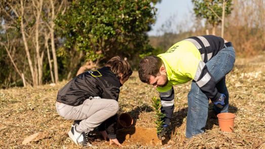 Plantação de árvores por colaboradores da PreZero Portugal- Responsabilidade Social