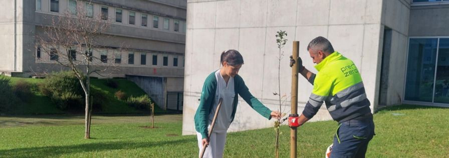 Plantação de árvores doadas pela PreZero ao Hospital de Braga