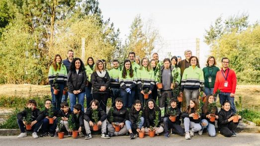 Grupo Plantação de árvores em Oliveira de Azeméis