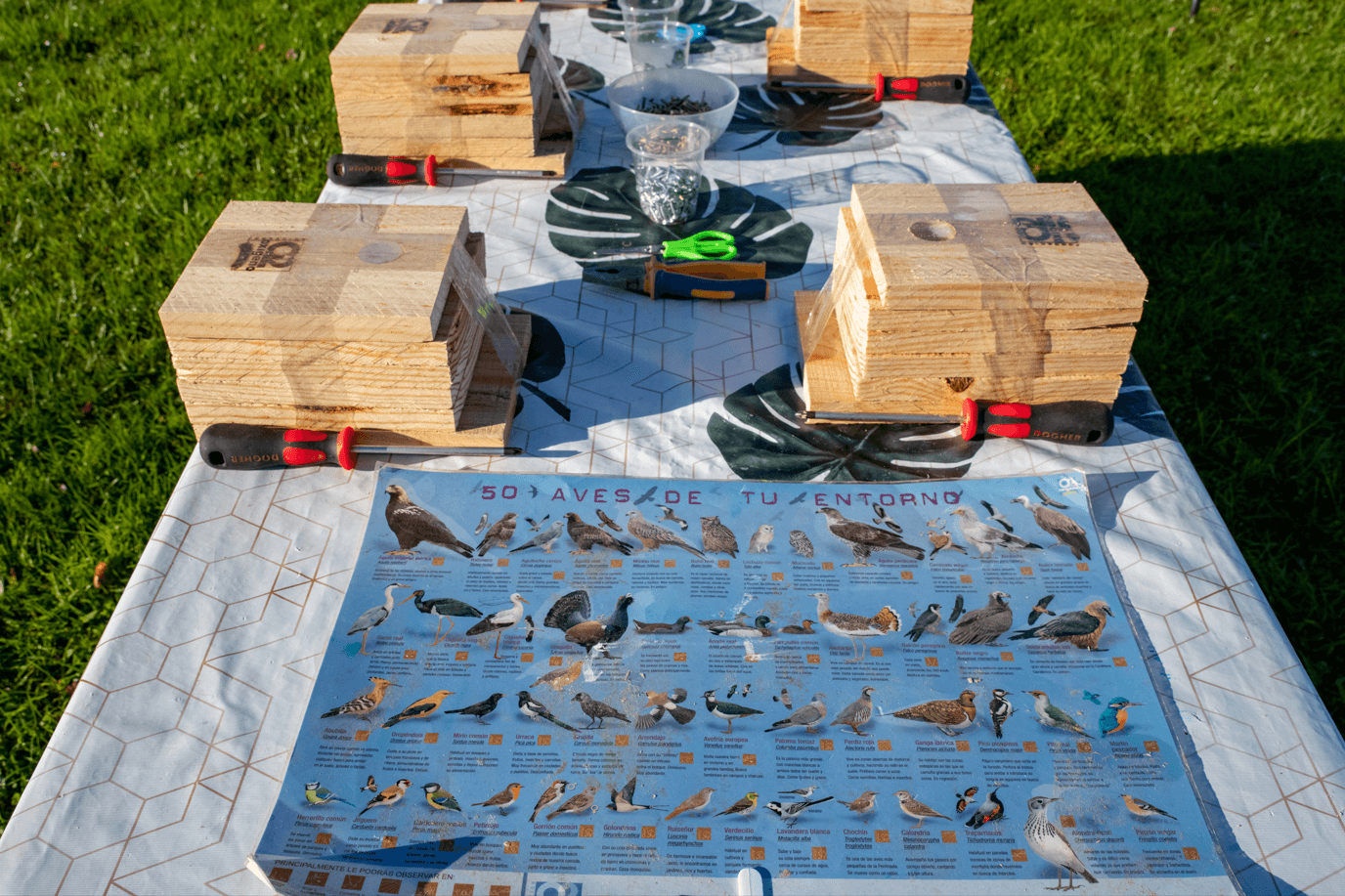 cajas nido de aves