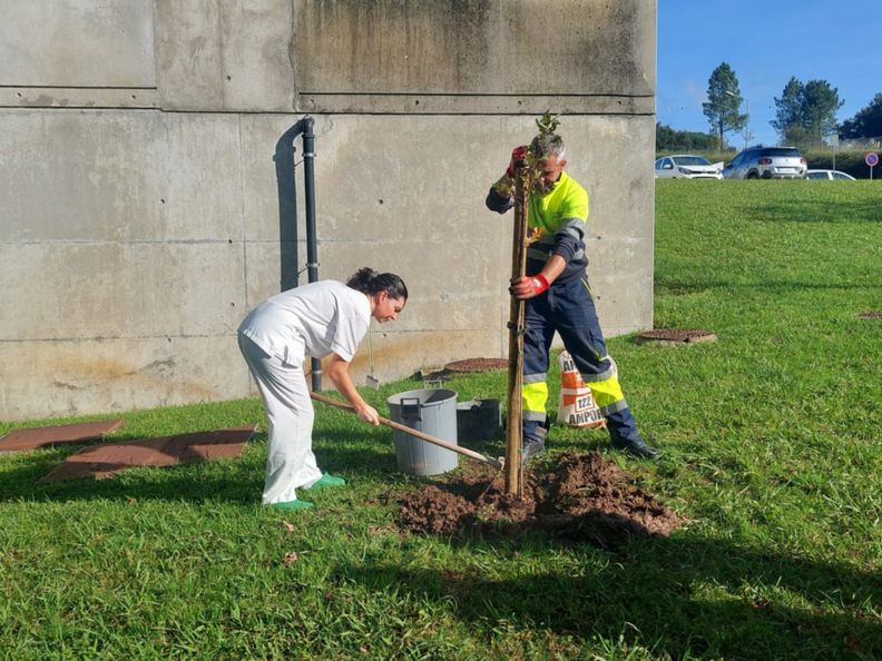 Plantação de árvores doadas pela PreZero ao Hospital de Braga