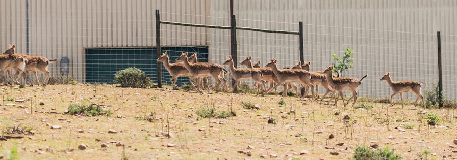 Dia Mundial da Terra