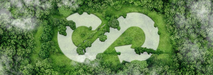 Os hábitos pessoais impactam o global