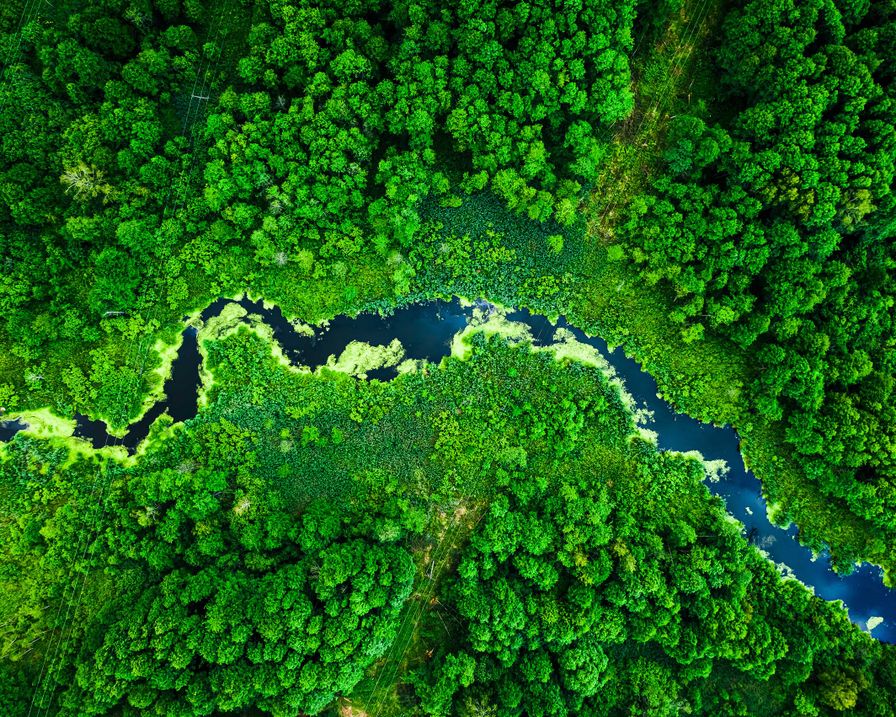 Fluss von oben