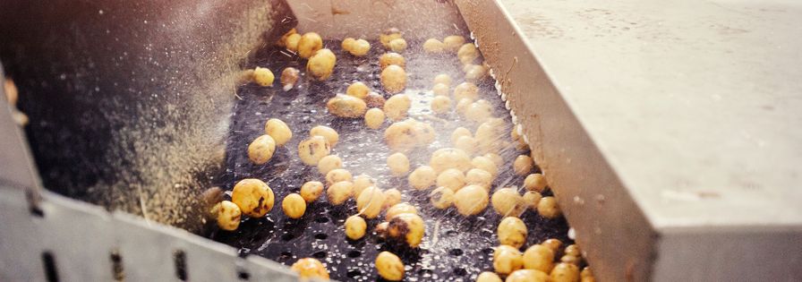 Kartoffeln waschen industriell
