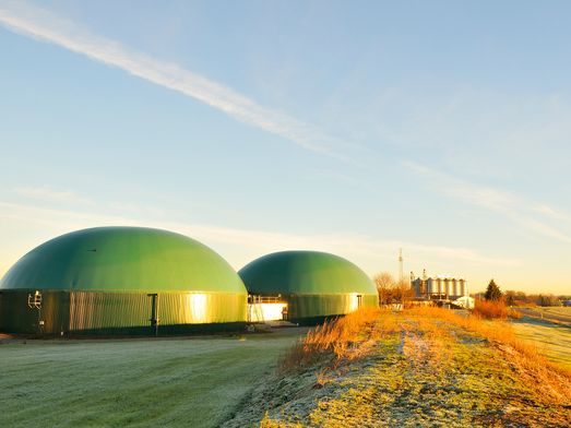 Biomasse Kraftwerk