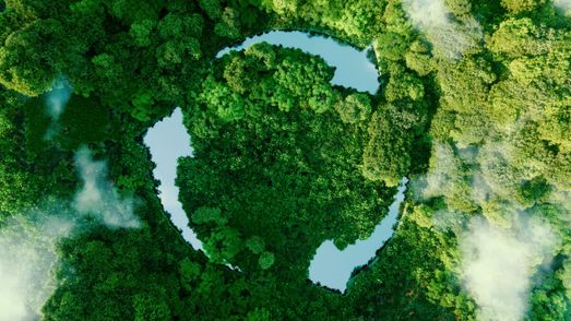 PreZero Zero Waste Wald Nachhaltigkeit Kreislauf