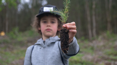 Vídeo: Programa Súmate: El Bosque de la Esperanza en Pontevedra