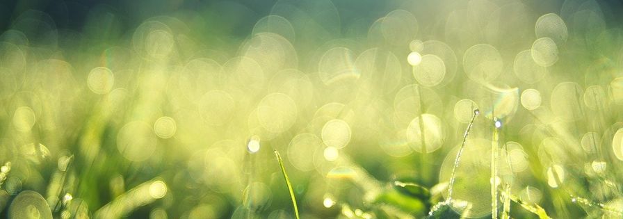 dia-mundial-del-medioambiente-2022