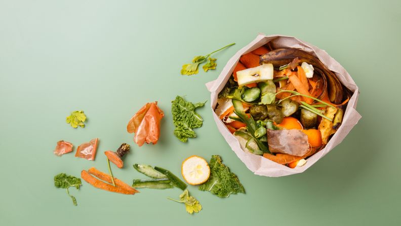 organic waste green background