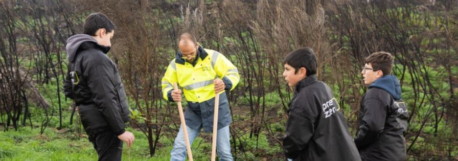 Plantação de árvores no Município de Gouveia