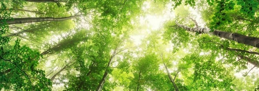 Foto-Banner-Nuestra-Responsabilidad