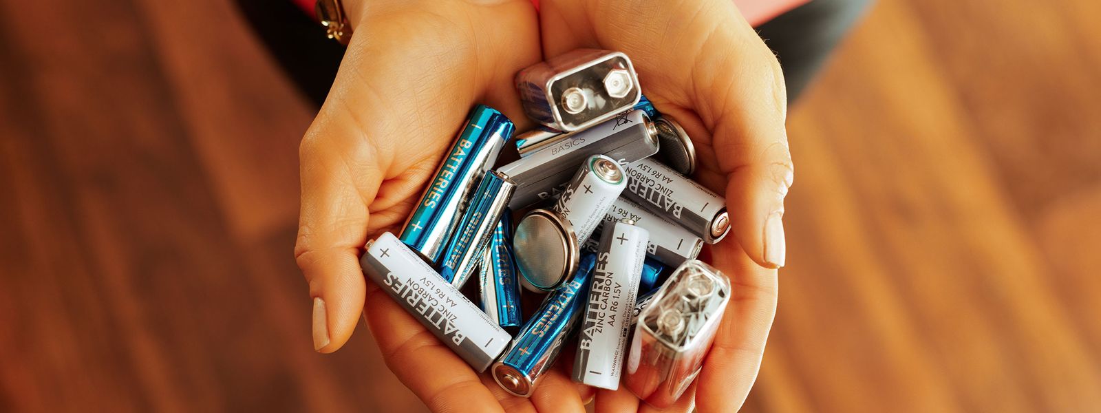 Batterien in Händen