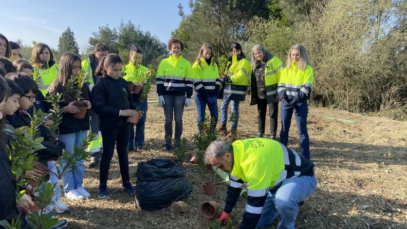 Plantação em Oliveira de Azeméis - PreZero Portugal