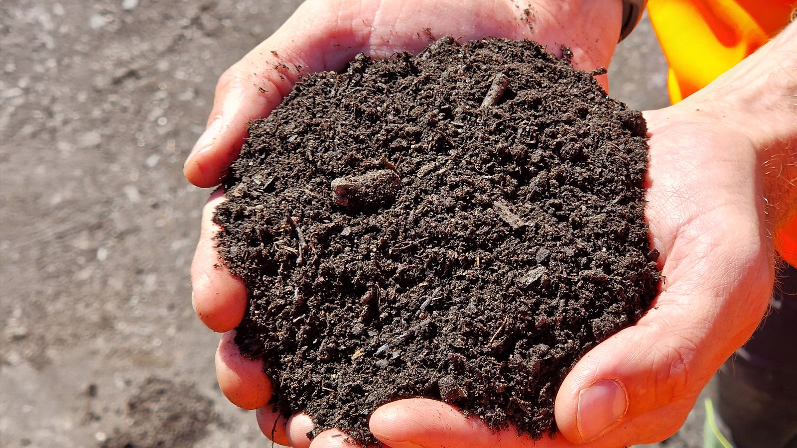 Färdig kompostjord i kupade händer