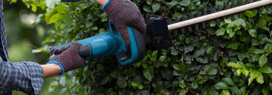 Person som klipper en häck med en häcksax