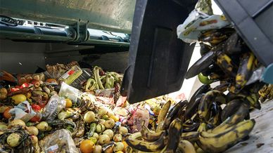 Matavfall som tippas från kärl ner i container