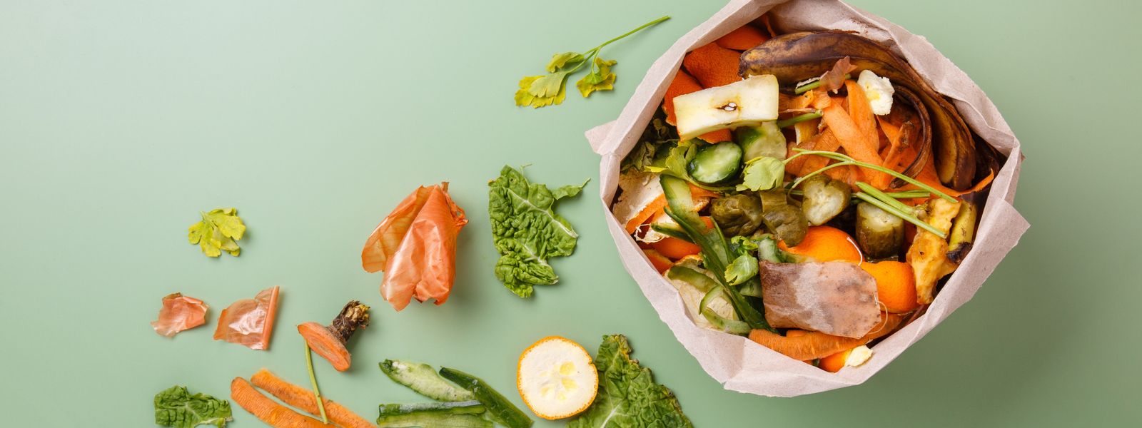 organic waste green background