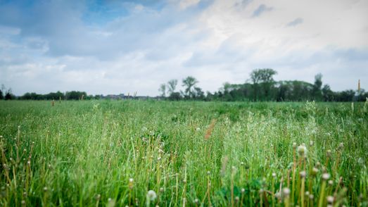 zicht van weiland en lucht