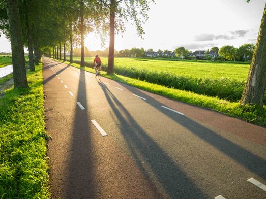 Fietser op weg
