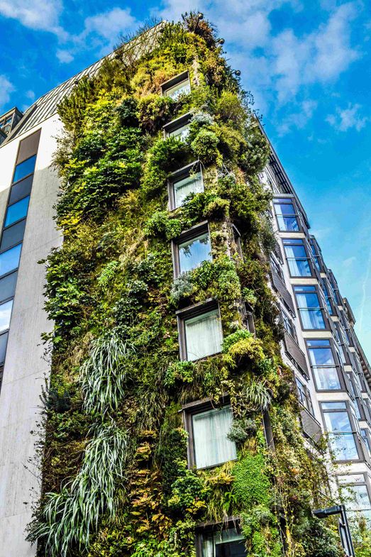 jardins verticais