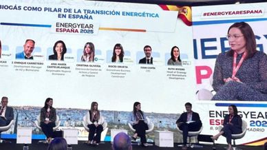 Ruth Rivero en Energyear 2