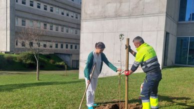 Plantação de árvores doadas pela PreZero ao Hospital de Braga