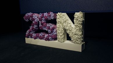 portada 25N