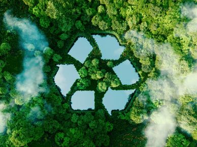 wald-luftaufnahme-recycling-symbol-wasser