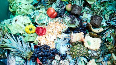food waste