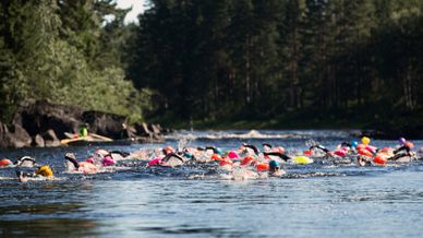 Flera simmare i vattnet under Vansbrosimningen