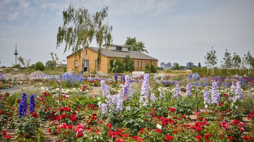 Ein Feld voller bunter Blumen und ein Backsteingebäude im Hintergrund.