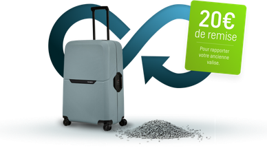 Valise