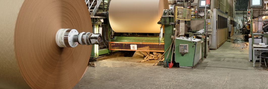 Zwei große Papierrollen aus Silphiepapier sind zu sehen, die die Firma Meldorf produziert hat