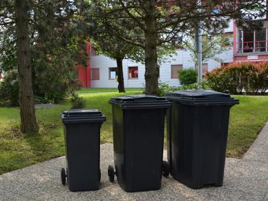 Trash bins black commune