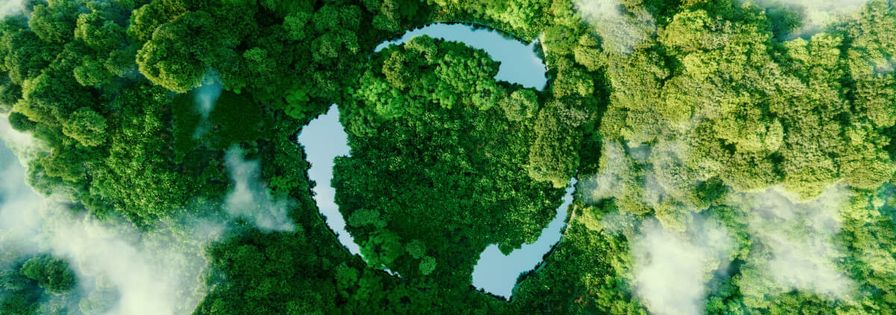 Wald Luftaufnahme Recycle Symbol Wasser Kreislauf