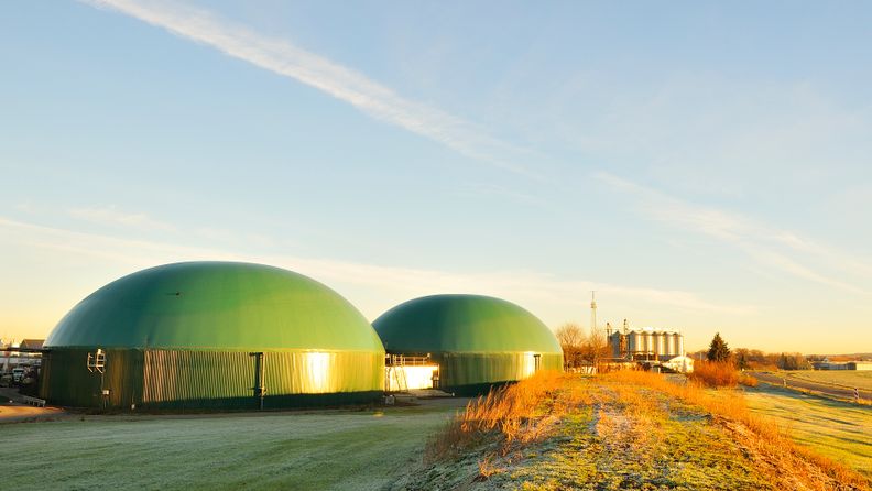 Biomasse Kraftwerk