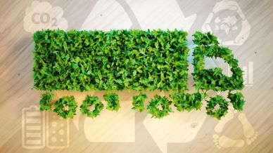 Economia Circular - Promotores e Barreiras à Transição
