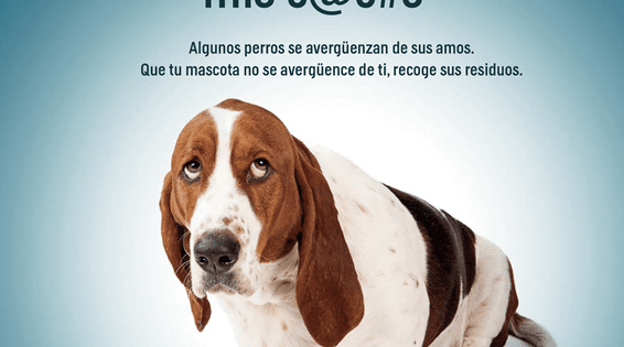 imagen1