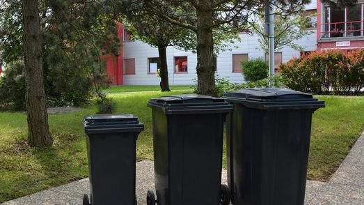Trash bins black commune