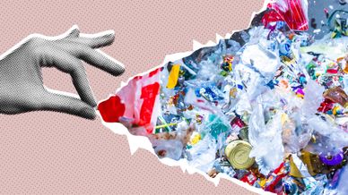 Wertstoffe im Fokus: LVP