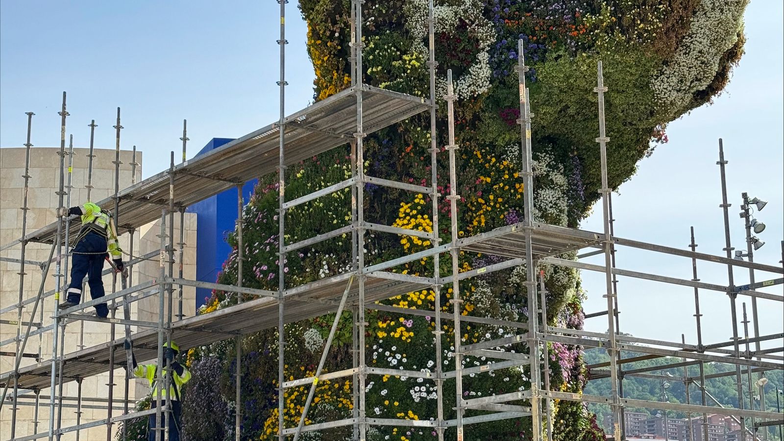 Puppy, la escultura que preside el Museo Guggenheim Bilbao, cambia de flores en el Día Europeo de los Parques